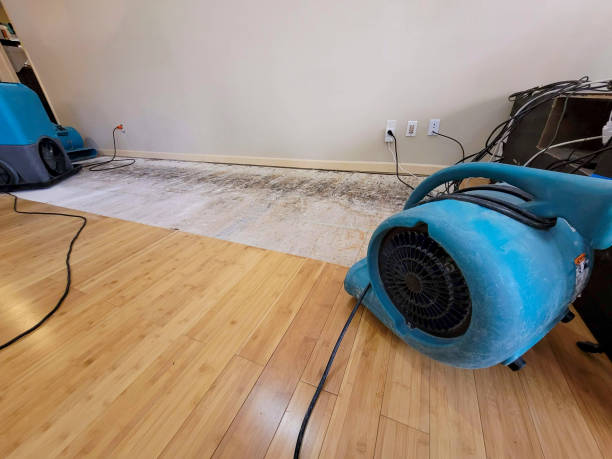 Professional Sewage Cleanup technician working in Dowell, MD